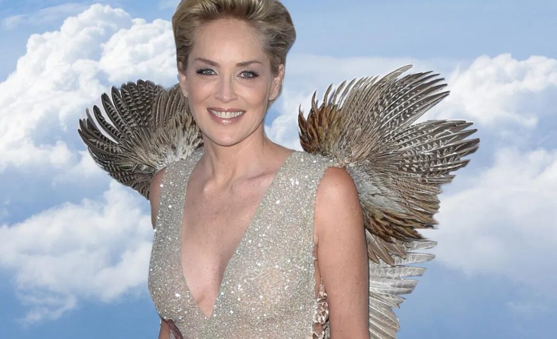 SHARON STONE NET WORTH 2022, BIO, CAREER